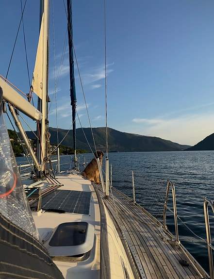Dromor Athena 44 |1998 | Gi bud! Velutstyrt og romslig seilbåt! 12 of 30