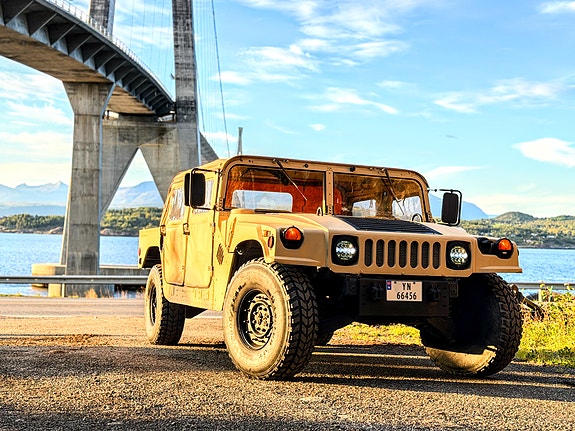 Hummer Andre 9 of 22