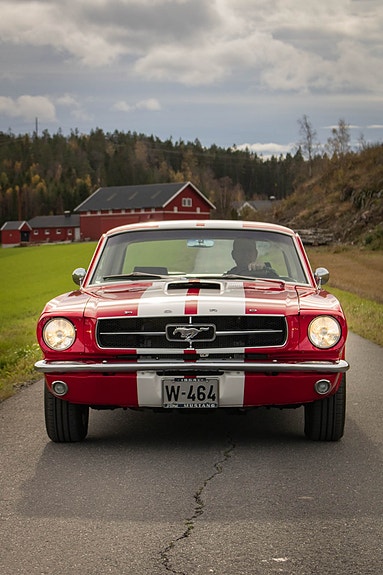 Ford Mustang 5 of 18