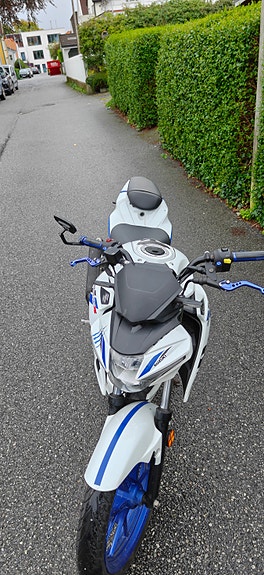 Suzuki GSX-S 125 9 of 9