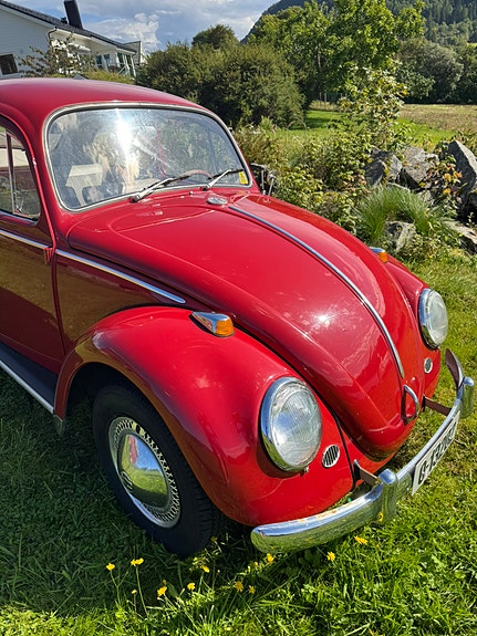 Volkswagen Boble (gml. type) 23 of 23