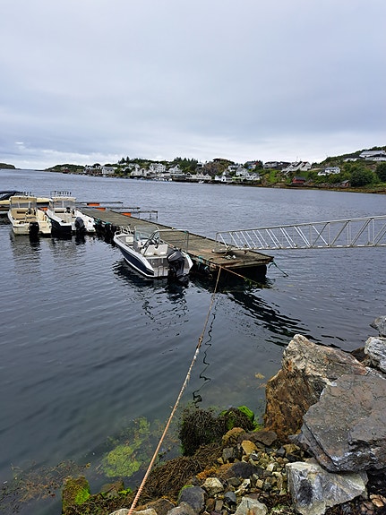 Kaasbøll 19 5 of 6
