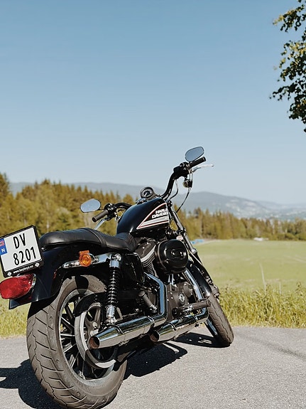 Harley-Davidson XL 883R Sportster 883R Roadster 2 of 13