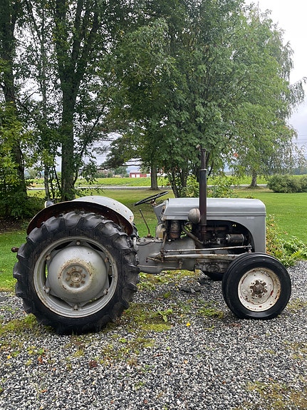 Massey Ferguson Gråtass (Ferguson TEA-20) 6 of 10