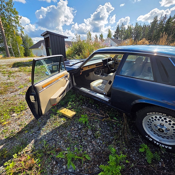 Jaguar XJS 7 of 15