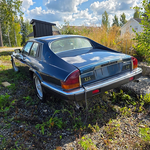 Jaguar XJS 4 of 15