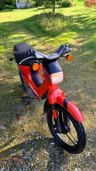 Honda Wallaroo 50 6 of 13