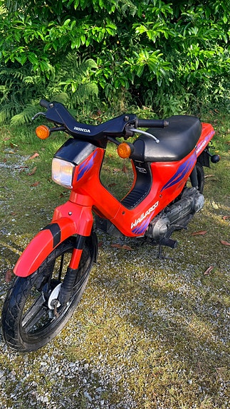 Honda Wallaroo 50 7 of 13