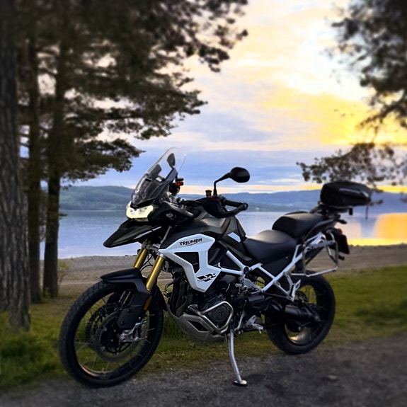 Triumph Tiger 1200 Rally 13 of 14