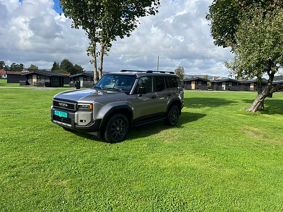 Toyota Land Cruiser 18 of 30