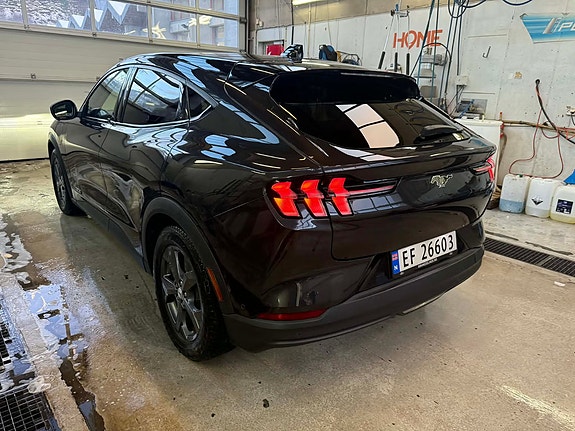 Ford Mustang Mach-E 17 of 17