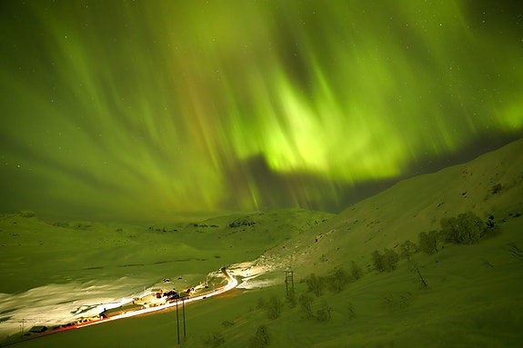 Nordlys over haukeliseter✨