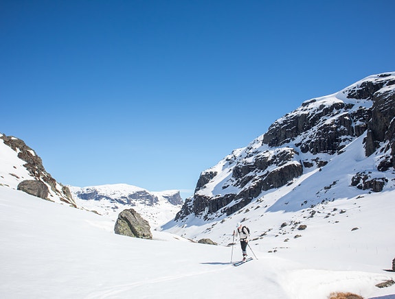 På vinteren har vi mange skigalde gjester som kommer for snøen og vinterfjellet