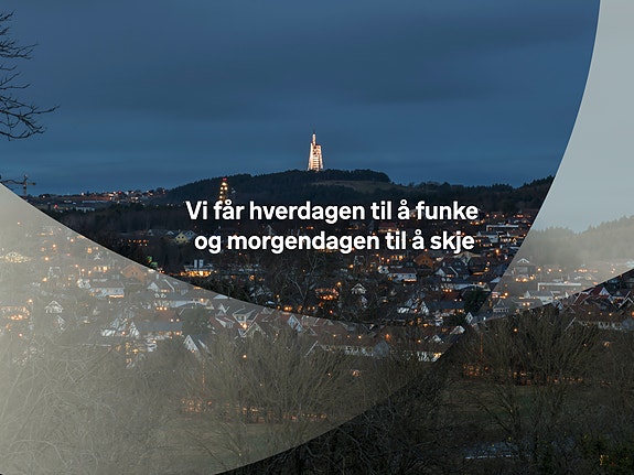 Bilde fra arbeidsgiver