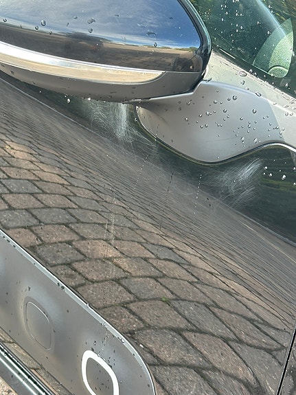 Citroen C3 8 of 24