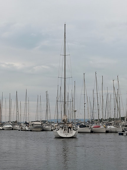 Dufour 44 Performance – høy rigg – dyp blykjøl – 400Ah lithium – gode  seil 4 of 30