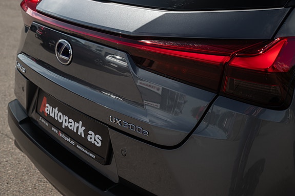 Lexus UX300e 9 of 30