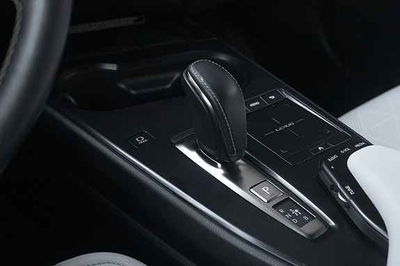 Lexus UX300e 20 of 30