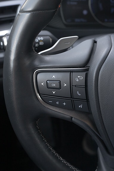 Lexus UX300e 15 of 30