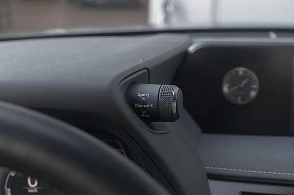 Lexus UX300e 18 of 30