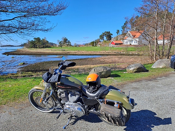 Harley-Davidson XL 883C SPORTSTER 16 of 20