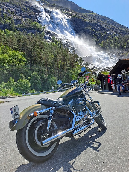 Harley-Davidson XL 883C SPORTSTER 17 of 20