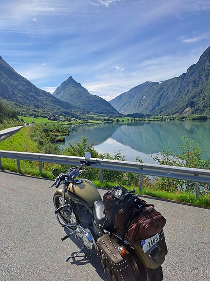 Harley-Davidson XL 883C SPORTSTER 7 of 20