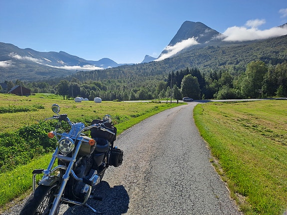 Harley-Davidson XL 883C SPORTSTER 10 of 20