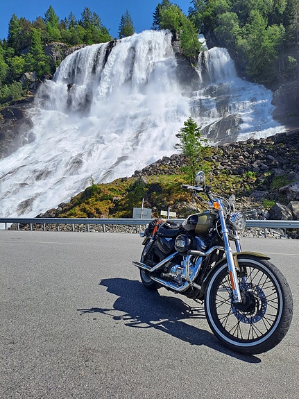 Harley-Davidson XL 883C SPORTSTER 14 of 20