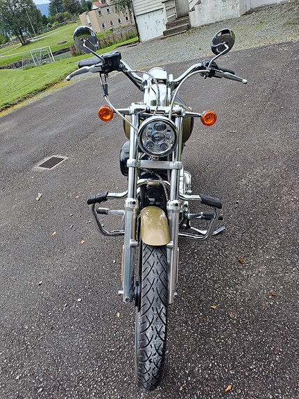 Harley-Davidson XL 883C SPORTSTER 6 of 20