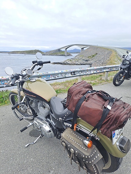 Harley-Davidson XL 883C SPORTSTER 11 of 20