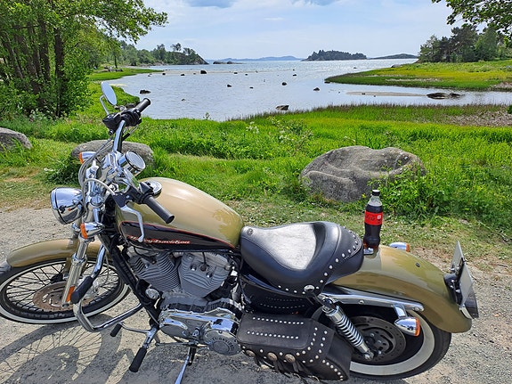 Harley-Davidson XL 883C SPORTSTER 15 of 20