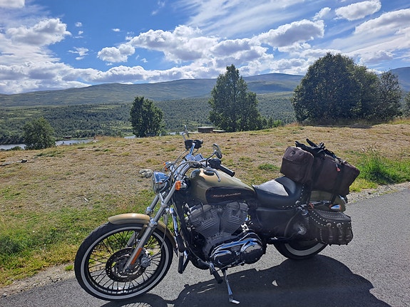 Harley-Davidson XL 883C SPORTSTER 12 of 20