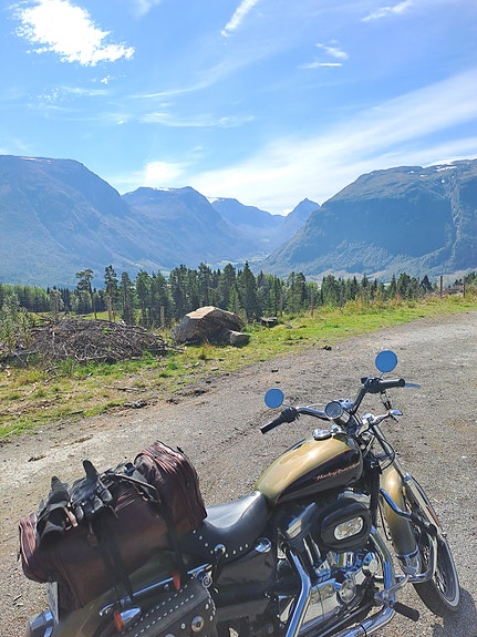 Harley-Davidson XL 883C SPORTSTER 9 of 20