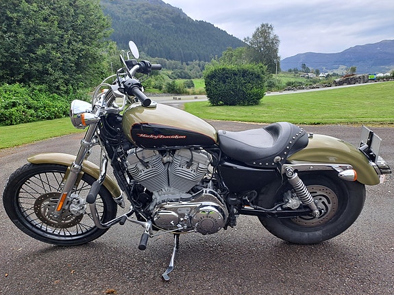 Harley-Davidson XL 883C SPORTSTER 8 of 20