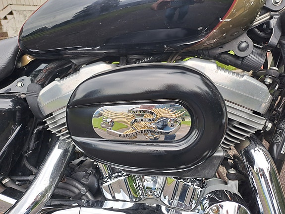 Harley-Davidson XL 883C SPORTSTER 2 of 20