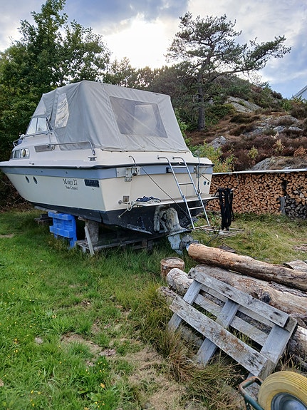 Høstpris 8 of 22