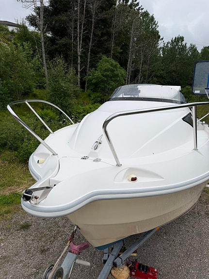 Quicksilver 460, perfect Daily cruise boat! 8 of 13