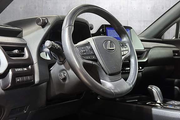 Lexus UX300e 12 of 18