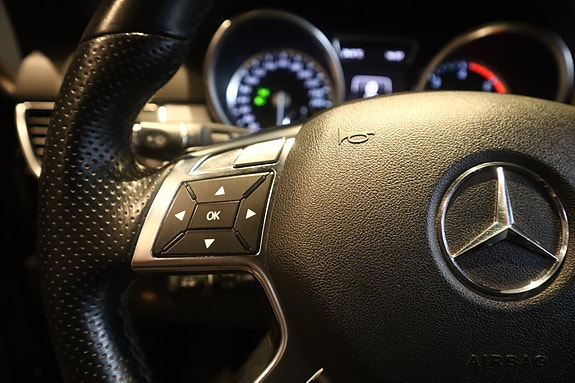 Mercedes-Benz ML250 19 of 30