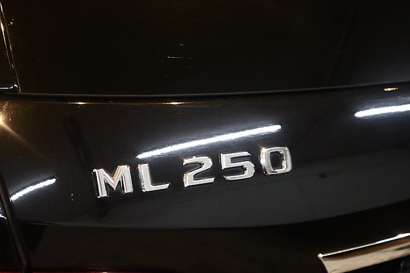 Mercedes-Benz ML250 12 of 30