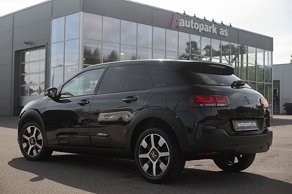 Citroen C4 Cactus 4 of 30