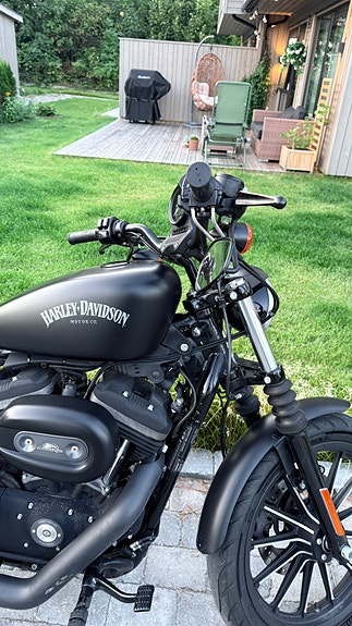 Harley-Davidson XL 883N Iron 3 of 7