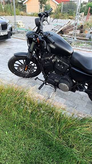 Harley-Davidson XL 883N Iron 5 of 7