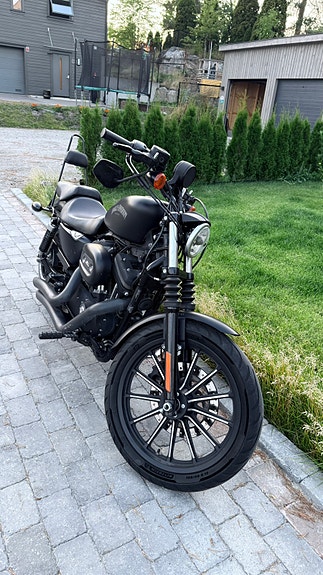 Harley-Davidson XL 883N Iron 2 of 7