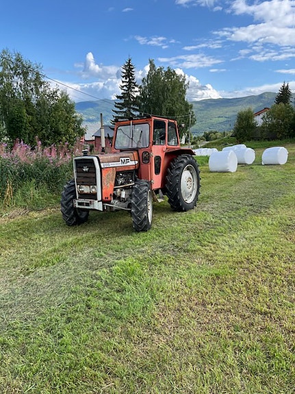 Massey Ferguson 265 2 of 14