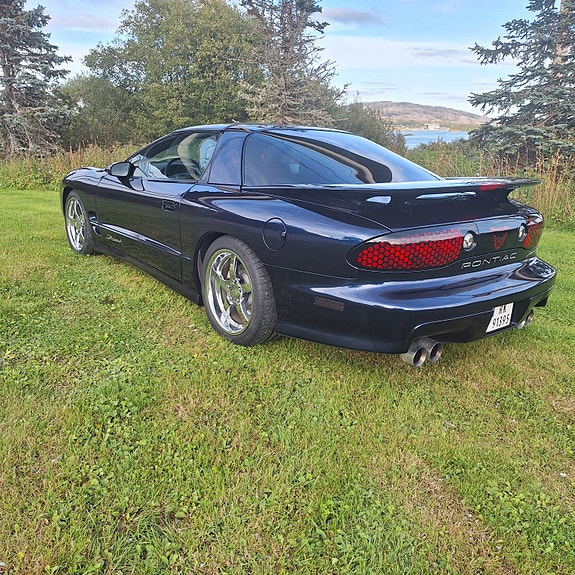 Pontiac Trans Am 6 of 30