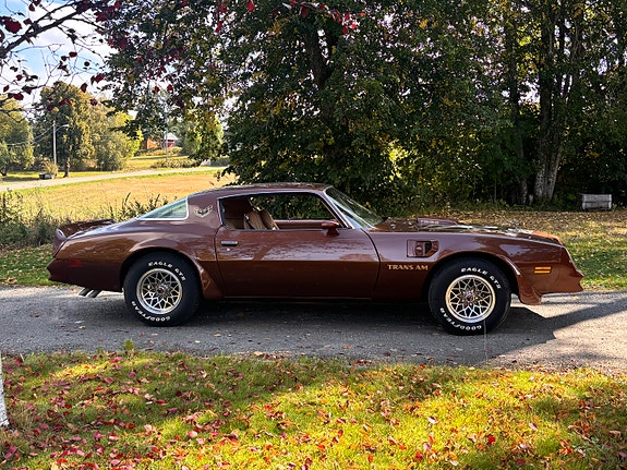 Pontiac Trans Am 11 of 30