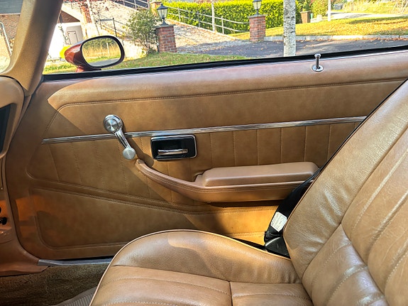 Pontiac Trans Am 21 of 30