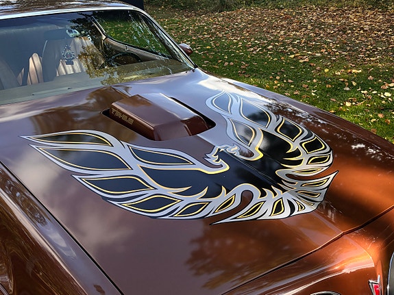 Pontiac Trans Am 15 of 30